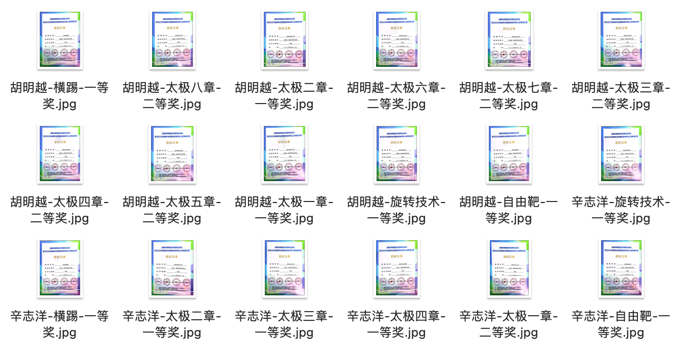 跆拳道项目获奖证书