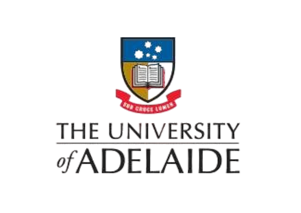 南佛罗里达大学